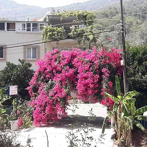 Apartment Rose